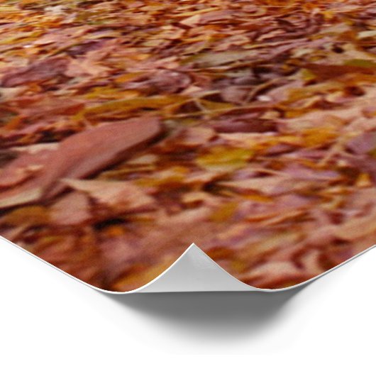 Poster Chemin couleur (Coin)