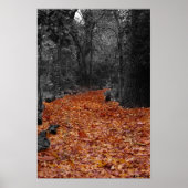 Poster Chemin couleur (Devant)