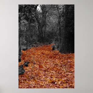 Poster Chemin couleur