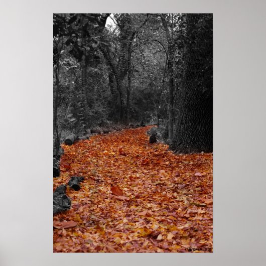 Poster Chemin couleur (Devant)