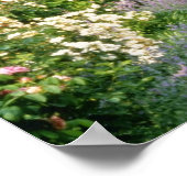 Poster Chemin D'Accès À La Porte À Rose Hybride Rouge, So (Coin)