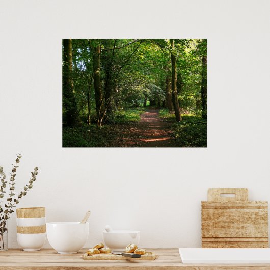 Poster Chemin dans la forêt (Cuisine)