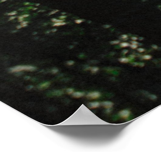 POSTER CHEMIN DANS LA FORÊT (Coin)