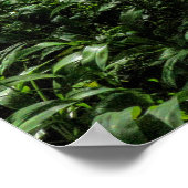 Poster Chemin dans la forêt (Coin)