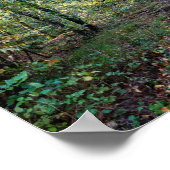 Poster Chemin dans la forêt automnale, Forêt de Saint Ger (Coin)