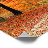 Poster Chemin dans la forêt, automne (Coin)