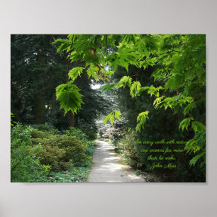 Poster Chemin dans la nature Les arbres verts Citation in