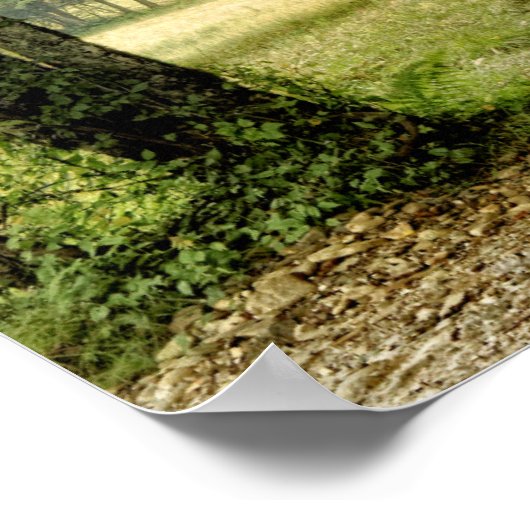 Poster Chemin dans le pays (Coin)