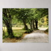 Poster Chemin dans le pays (Devant)