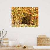 Poster Chemin Dans Les Bois Adirondacks Montagnes (Cuisine)