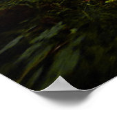 Poster Chemin dans l'impression Bois (Coin)