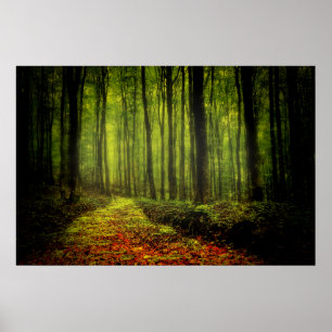 Poster Chemin dans Woods
