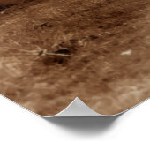 Poster Chemin d'arborescence vers nulle part (Coin)