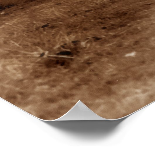 Poster Chemin d'arborescence vers nulle part (Coin)