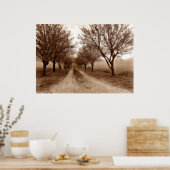 Poster Chemin d'arborescence vers nulle part (Cuisine)