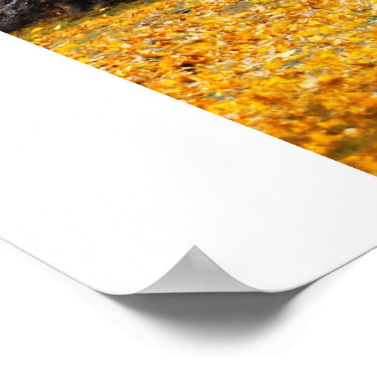 Poster Chemin d'automne (Coin)