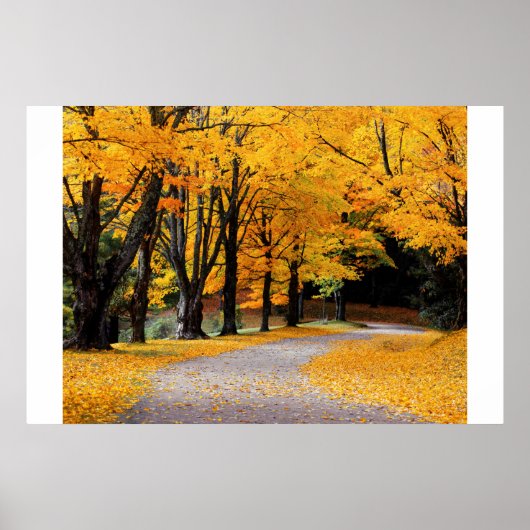 Poster Chemin d'automne (Devant)