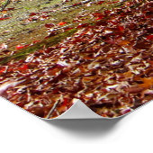 Poster Chemin d'automne (Coin)