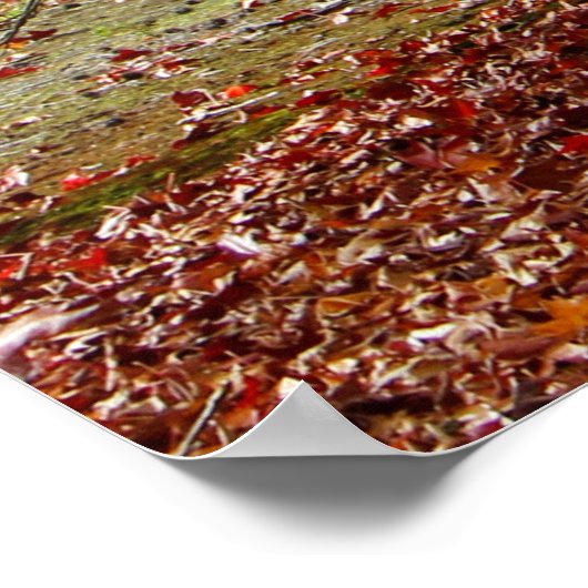 Poster Chemin d'automne (Coin)