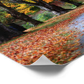 Poster Chemin d'automne (Coin)