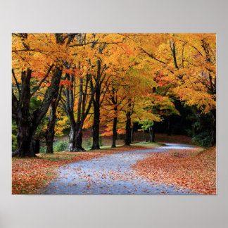 Poster Chemin d'automne