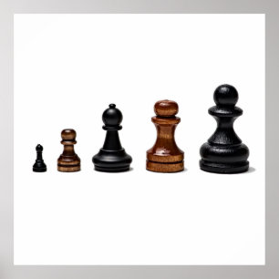 Poster Chemin de carrière