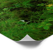 Poster Chemin de Clearwater River (Coin)