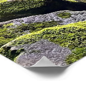 Poster Chemin de fer abandonné (Coin)