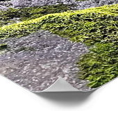 Poster Chemin de fer abandonné (Coin)