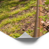 Poster Chemin De Fer Abandonné Dans Une Forêt (Coin)