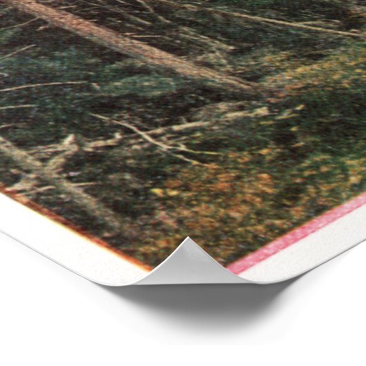 Poster Chemin de fer du Pacifique Sud (Coin)