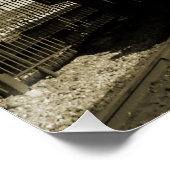 Poster Chemin de fer historique (Coin)