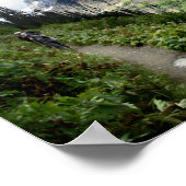 Poster Chemin de fer - Parc national des Glaciers (Coin)