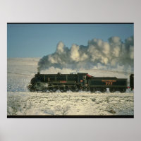 Chemin de fer Sud no 777_Trains à vapeur