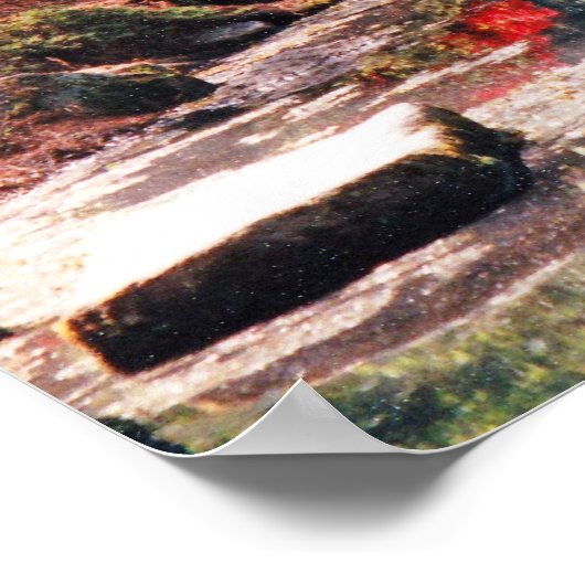 Poster Chemin de guérison (Coin)