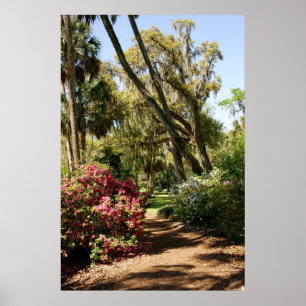 Poster Chemin de jardin