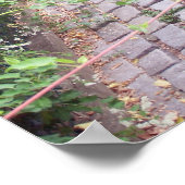 Poster Chemin de jardin pavé rustique (Coin)