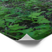 Poster Chemin de la forêt (Coin)