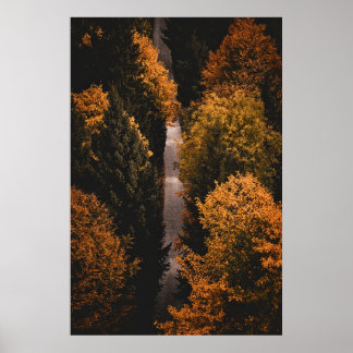 Poster Chemin de la forêt d'automne