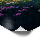 Poster Chemin de la forêt mystique (Coin)