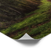 Poster Chemin de l'arbre de cime (Coin)