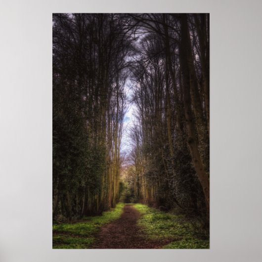 Poster Chemin de l'arbre de cime (Devant)