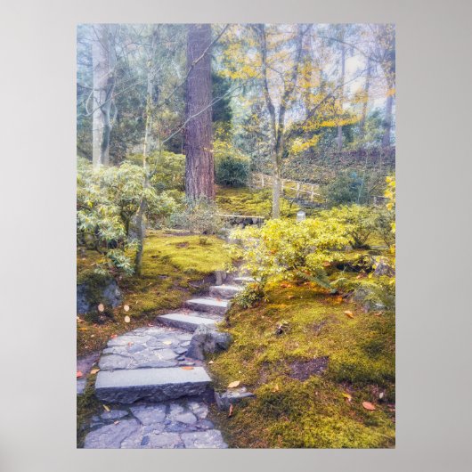 Poster Chemin de pierre dans une forêt moussue d'automne (Devant)