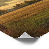 Poster Chemin de prairie nuageuse (Coin)