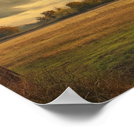 Poster Chemin de prairie nuageuse (Coin)