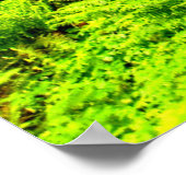 Poster Chemin de randonnée à Forest Park (Coin)