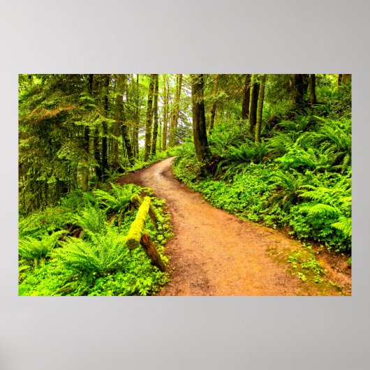 Poster Chemin de randonnée à Forest Park (Devant)