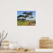 Poster Chemin de terre primitif et acacia, lac Nakuru (Cuisine)