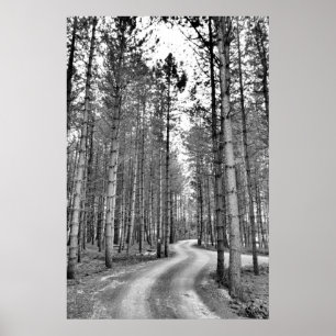 Poster Chemin d'enroulement