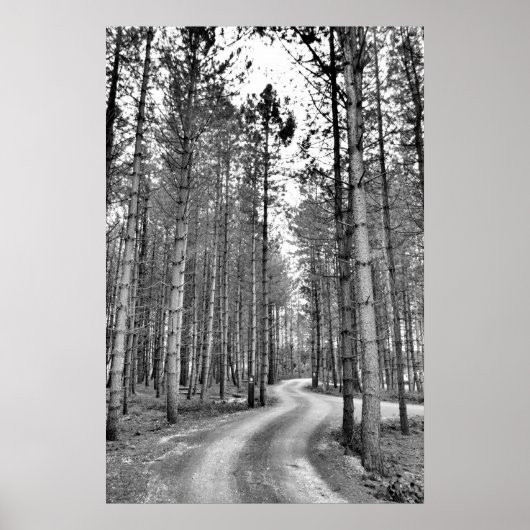 Poster Chemin d'enroulement (Devant)